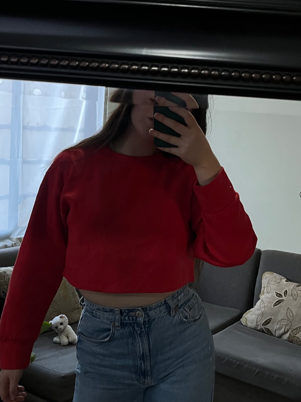 Polerón Cropped Básico Rojo